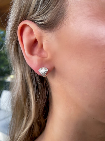 Seashell Earrings